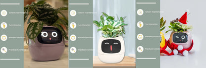 Smart Planter - ArtOm_farm™ MICROGREENS