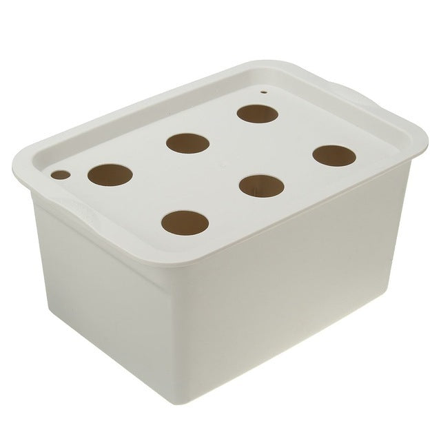 Vegetable water culture box