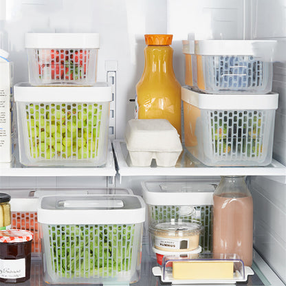 Home Fashion Personality Vegetable Crisper - ArtOm_farm™ MICROGREENS