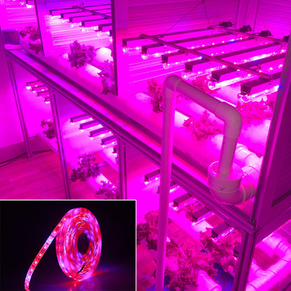 5050 LED Grow Light 5m: Soft Light for Your Garden! - ArtOm_farm™ MICROGREENS