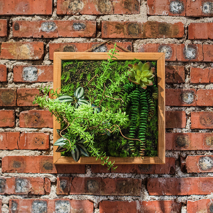 Simulation Green Frame Succulent Combination Plant Background Wall - ArtOm_farm™ MICROGREENS