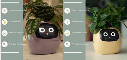 Smart Planter Solutions for Effortless Indoor Gardening