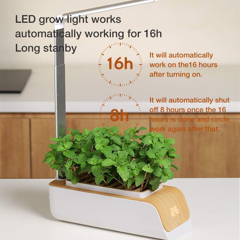 Desk Lamp Hydroponic Indoor Herb Garden Kit