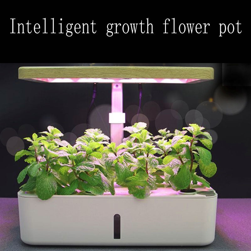 Automated Hydroponic Pot for growing vegetables