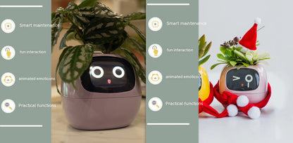 Smart Planter Solutions for Effortless Indoor Gardening