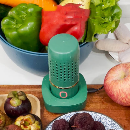 Home Wireless Automatic Vegetable Washing Machine - ArtOm_farm™ MICROGREENS