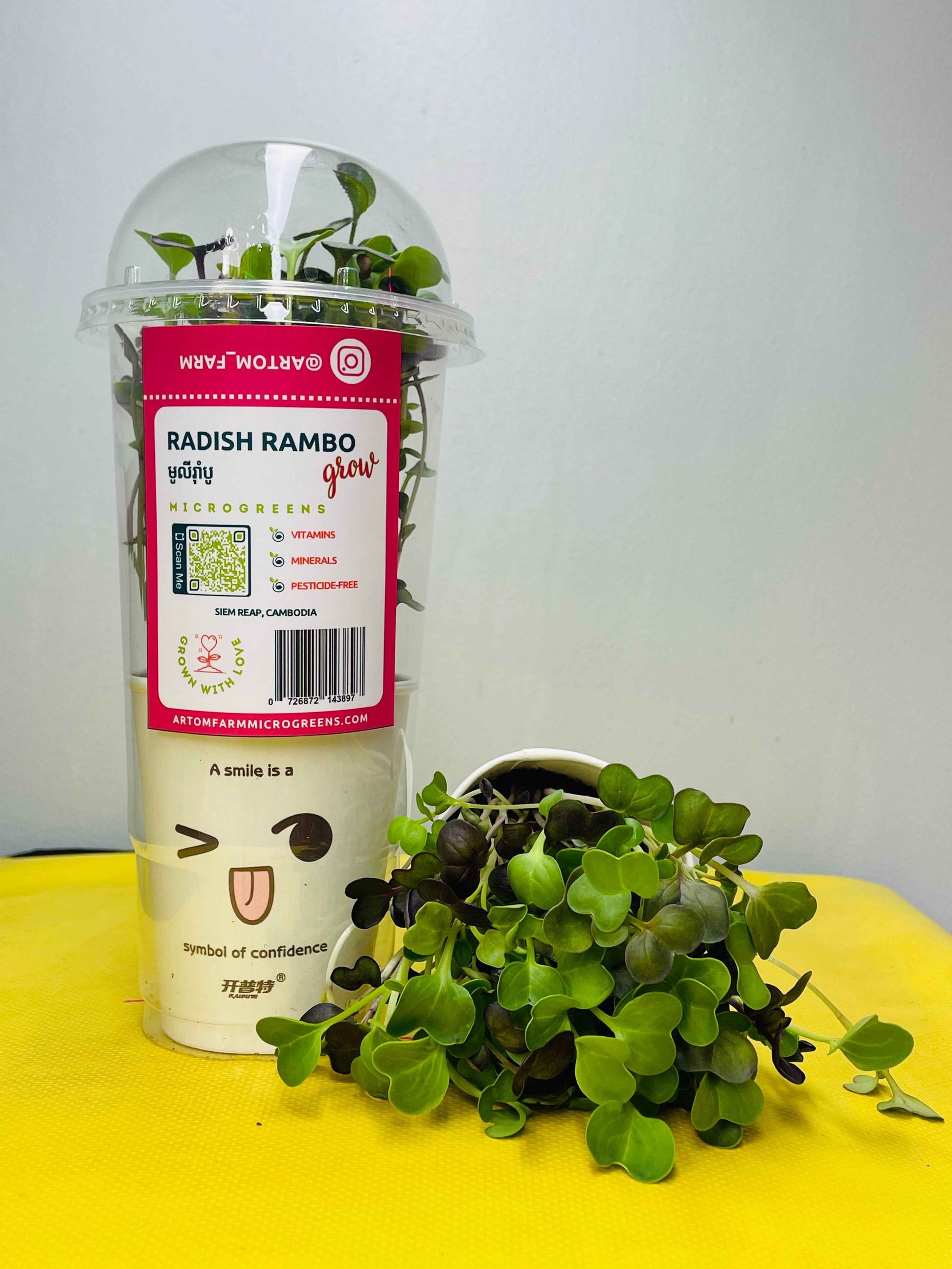 Radish Rambo Microgreens Grow