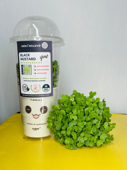 មីក្រូហ្គ្រីនខ្មៅ សម្រាប់ការដាំដុះនៅផ្ទះងាយស្រួល