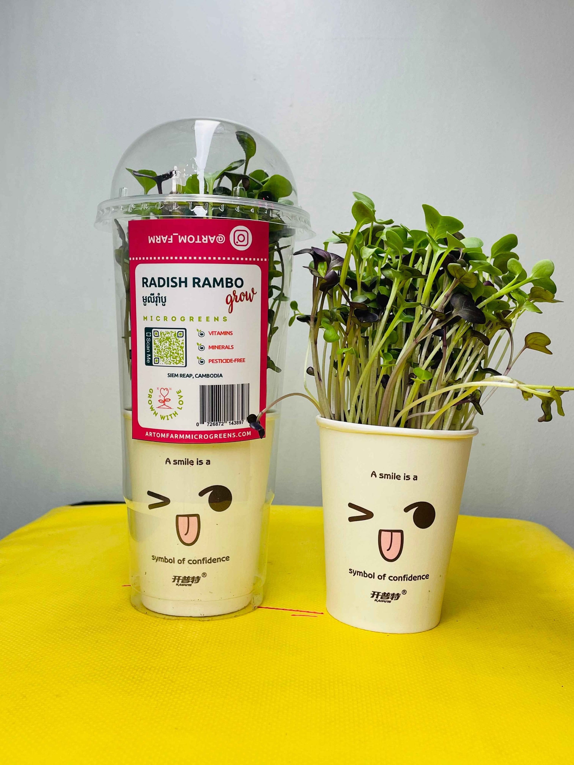 Radish Rambo Microgreens Grow
