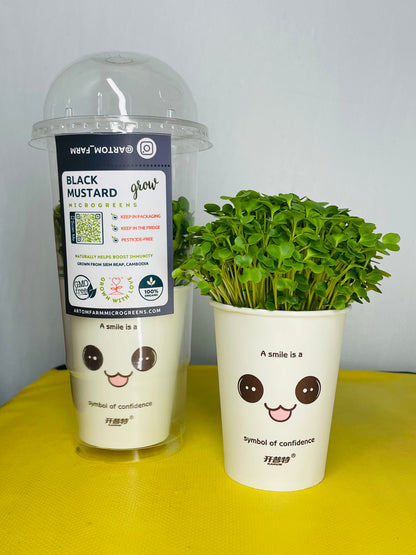 មីក្រូហ្គ្រីនខ្មៅ សម្រាប់ការដាំដុះនៅផ្ទះងាយស្រួល