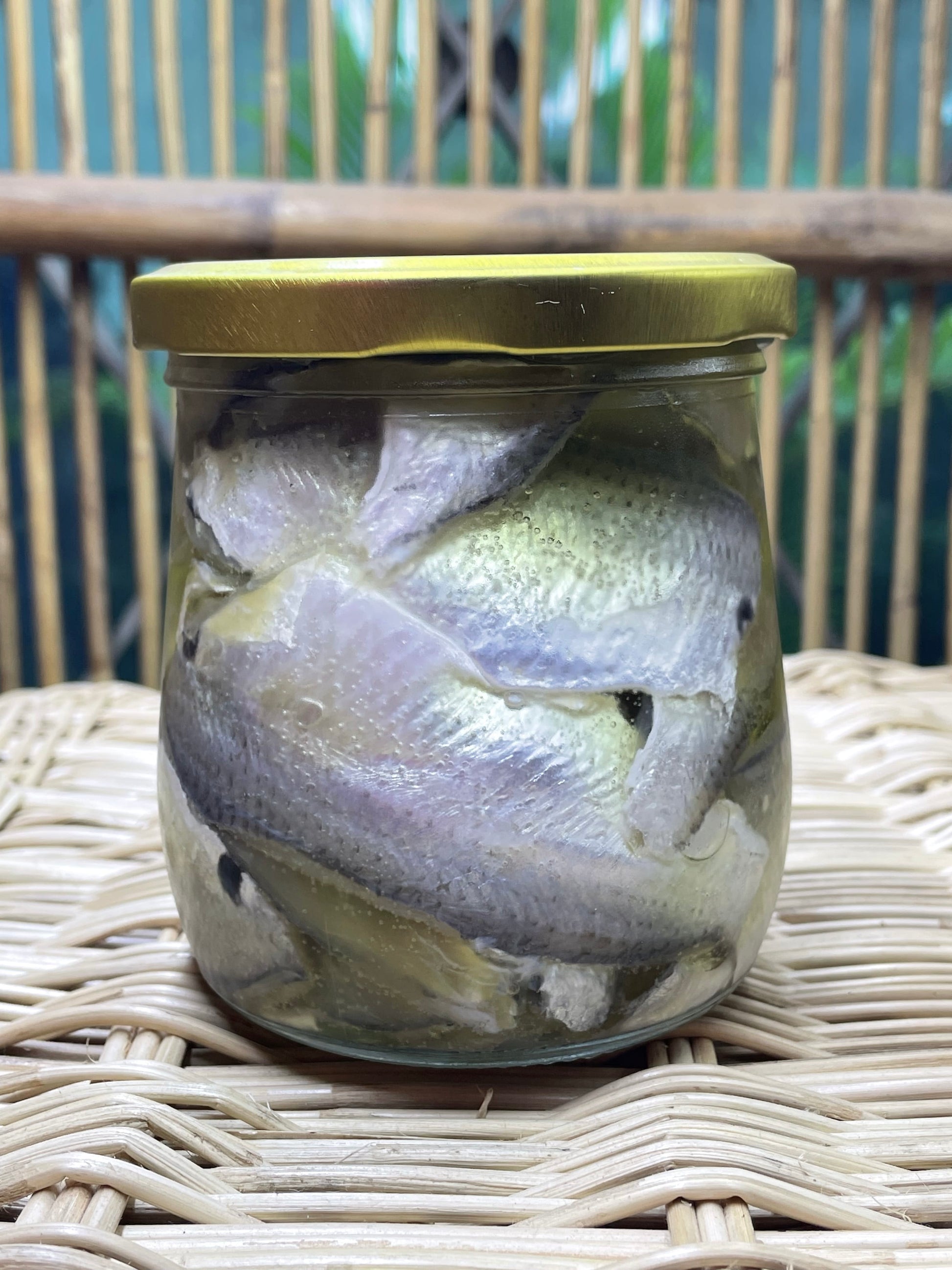 Marinated Fish Fillet 350ml - ArtOm_farm™ MICROGREENS
