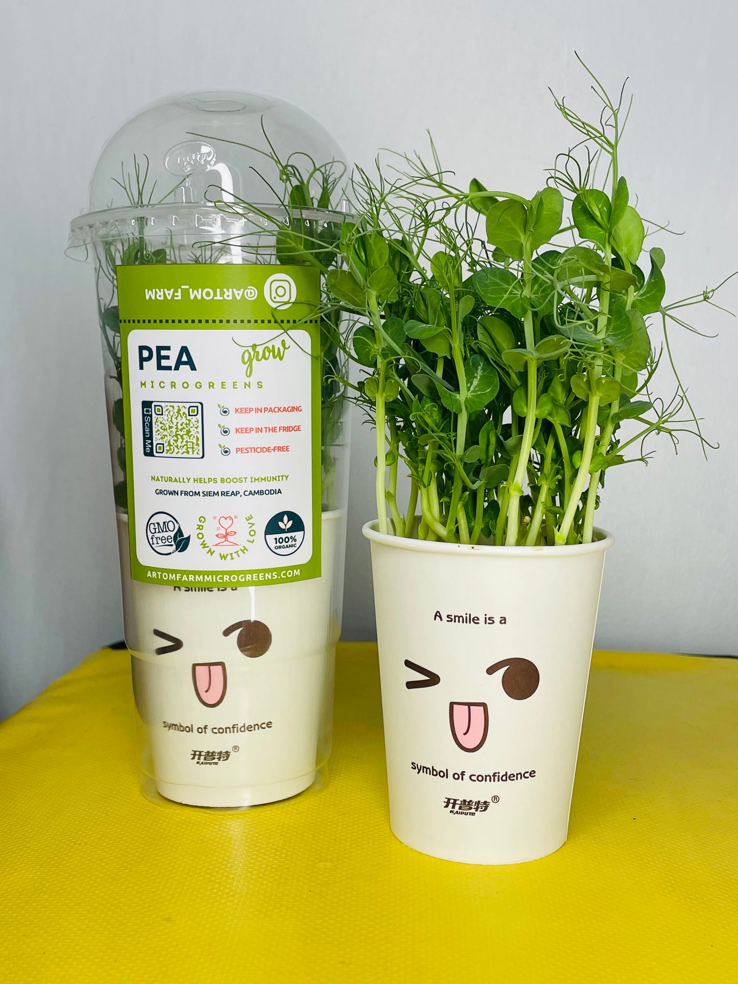 Pea Microgreens - បៃតងខ្ចប់សារធាតុចិញ្ចឹមស្រស់ៗសម្រាប់សួនផ្ទះរបស់អ្នក។