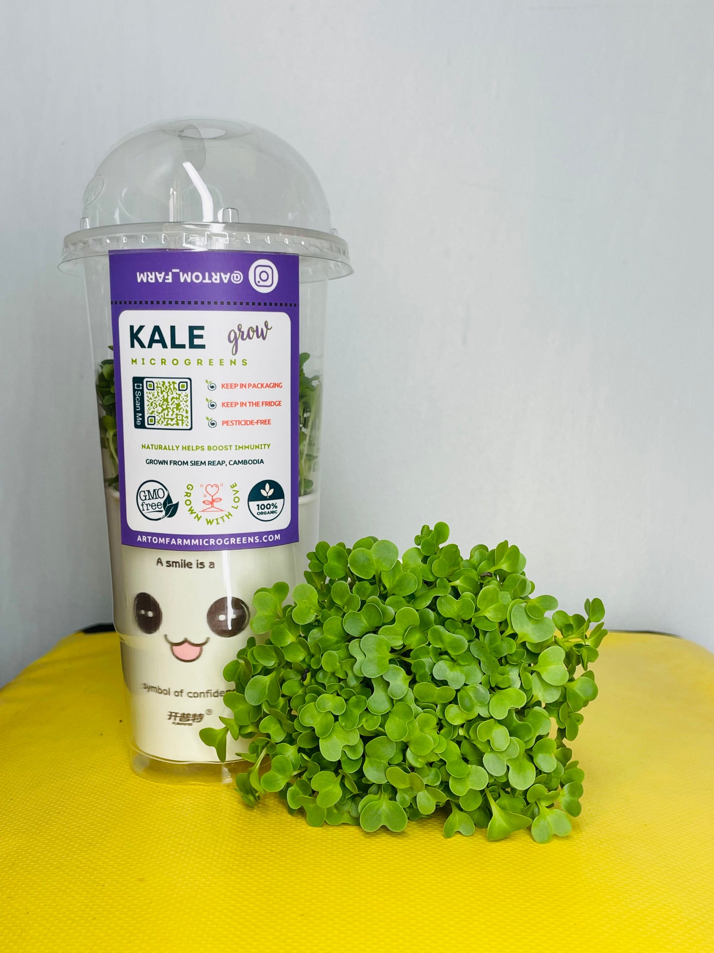 ឈុតដាំខាត់ណាមីក្រូហ្គ្រីន ដើម្បីជោគជ័យក្នុងការថែសួននៅផ្ទះ