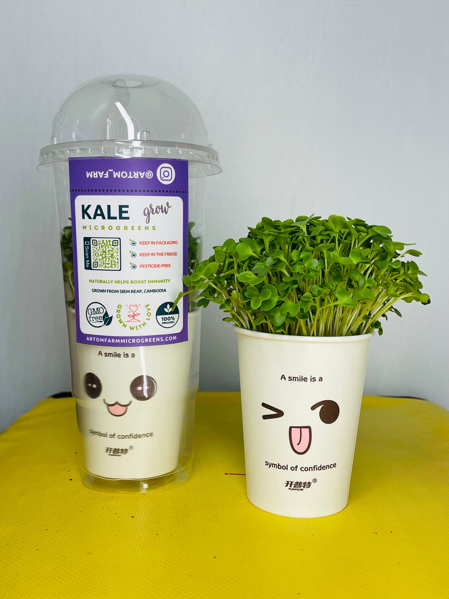 ឈុតដាំខាត់ណាមីក្រូហ្គ្រីន ដើម្បីជោគជ័យក្នុងការថែសួននៅផ្ទះ