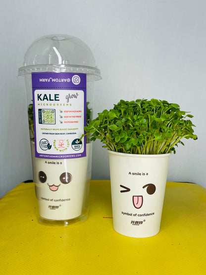 ឈុតដាំខាត់ណាមីក្រូហ្គ្រីន ដើម្បីជោគជ័យក្នុងការថែសួននៅផ្ទះ