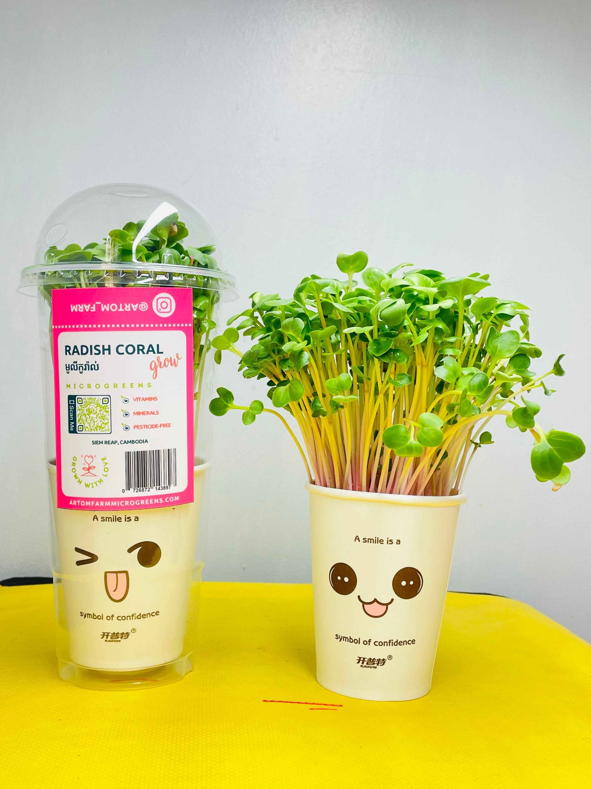 Radish Coral Microgreens Grow