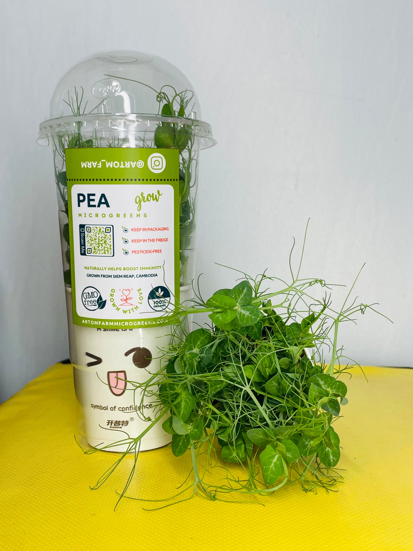 Pea Microgreens - បៃតងខ្ចប់សារធាតុចិញ្ចឹមស្រស់ៗសម្រាប់សួនផ្ទះរបស់អ្នក។