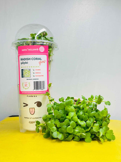 Radish Coral Microgreens Grow