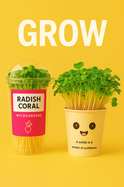Radish Coral Microgreens លូតលាស់