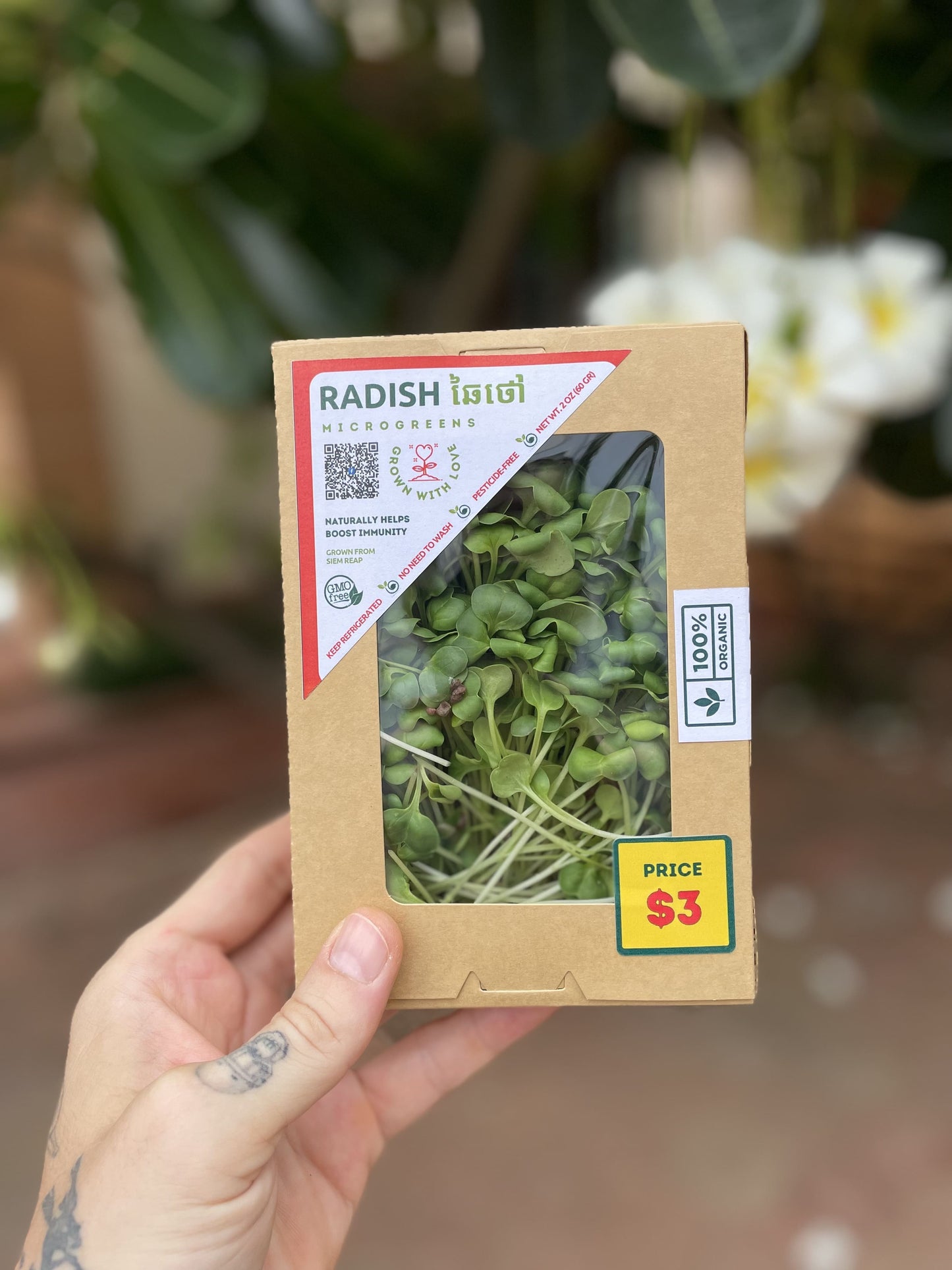 Radish Microgreens 70g