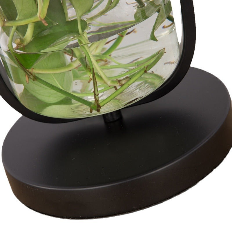 Modern Creative Glass Plant Hydroponic Table Lamp