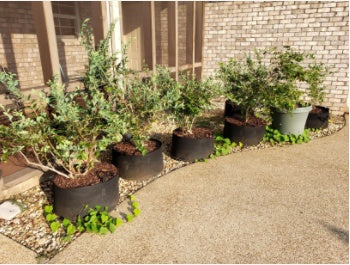 Planting Bag for Growing Seedlings and Vegetables