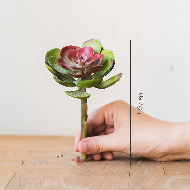 Artificial Aloe Plant Succulent Small Green Bonsai - ArtOm_farm™ MICROGREENS