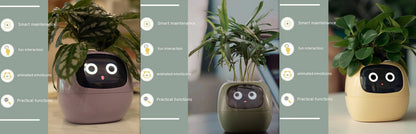 Smart Planter Solutions for Effortless Indoor Gardening
