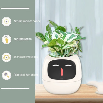 Smart Planter Solutions for Effortless Indoor Gardening