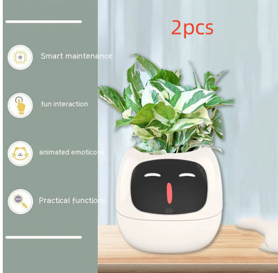 Smart Planter Solutions for Effortless Indoor Gardening