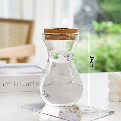 Transparent, Simple and Creative Hydroponic Glass Vase - ArtOm_farm™ MICROGREENS