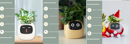 Smart Planter - ArtOm_farm™ MICROGREENS
