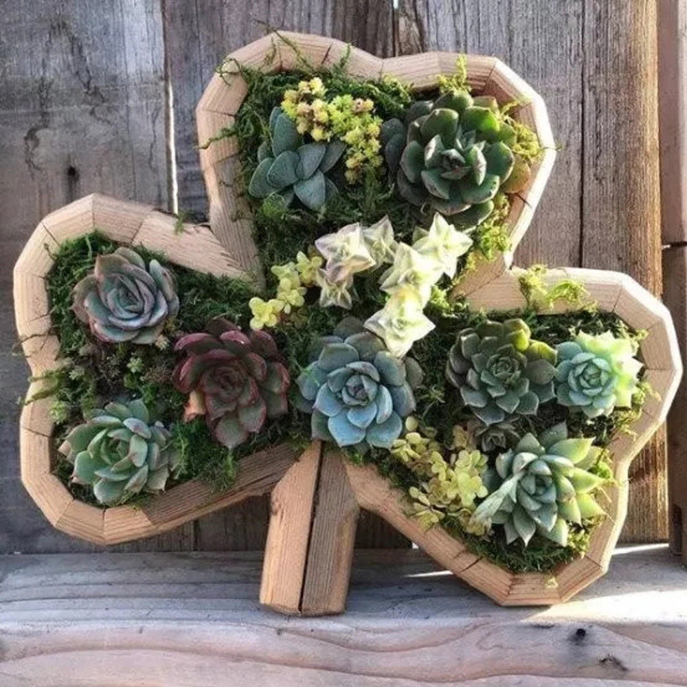 Wooden Animal POTS For Plant Planting - ArtOm_farm™ MICROGREENS