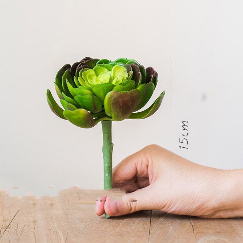 Artificial Aloe Plant Succulent Small Green Bonsai - ArtOm_farm™ MICROGREENS