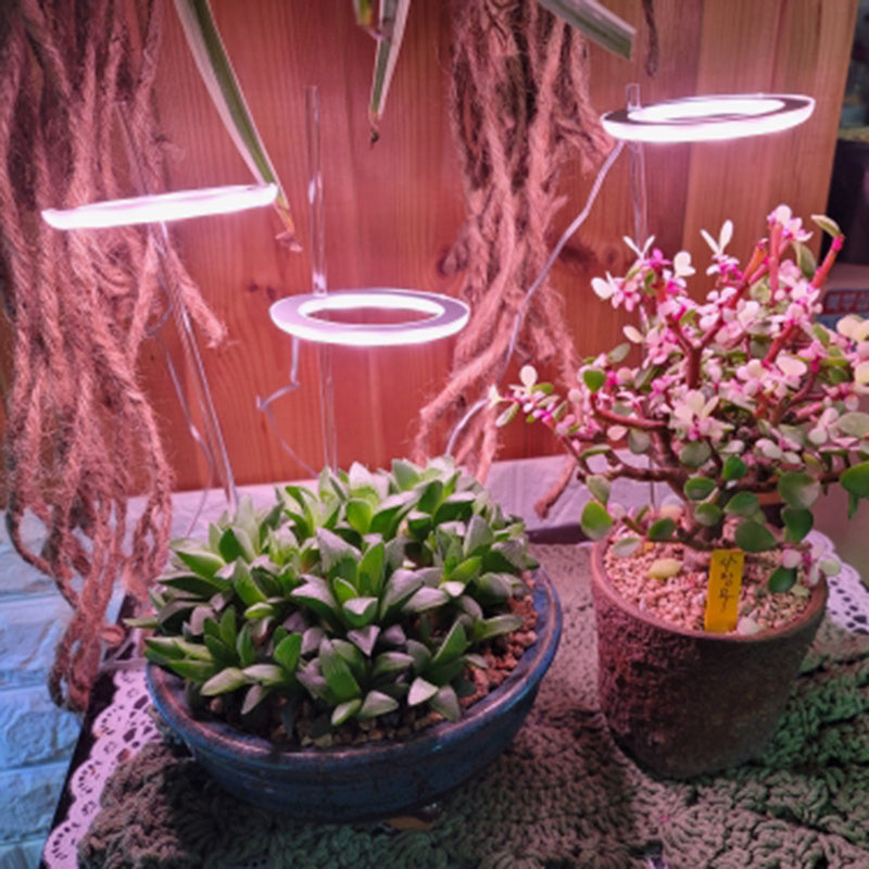 LED Angel Ring Grow Light