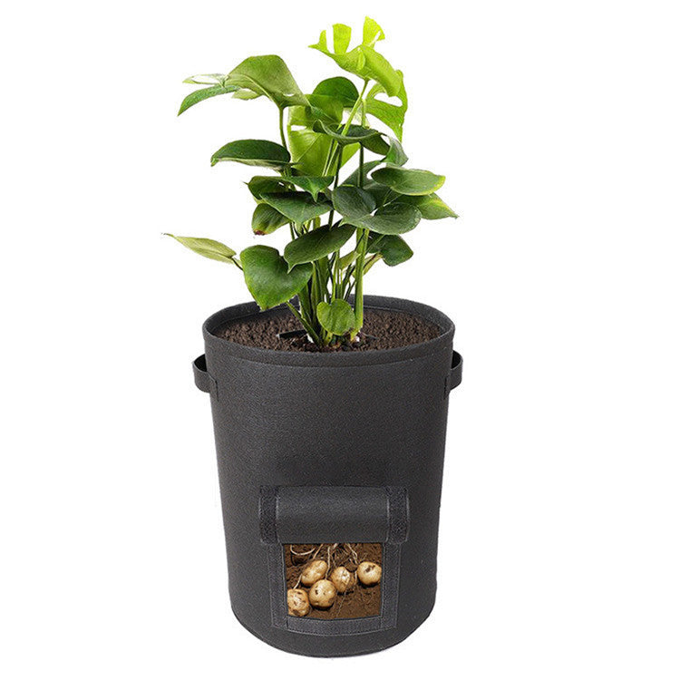 Multifunctional container for growing seedlings