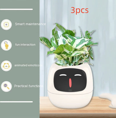 Smart Planter Solutions for Effortless Indoor Gardening
