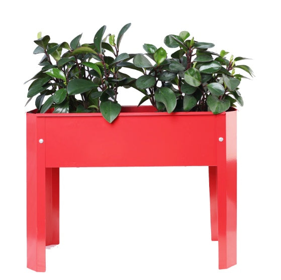 Metal Plant Boxes for Flowers, Fruits, Herbs and Vegetables