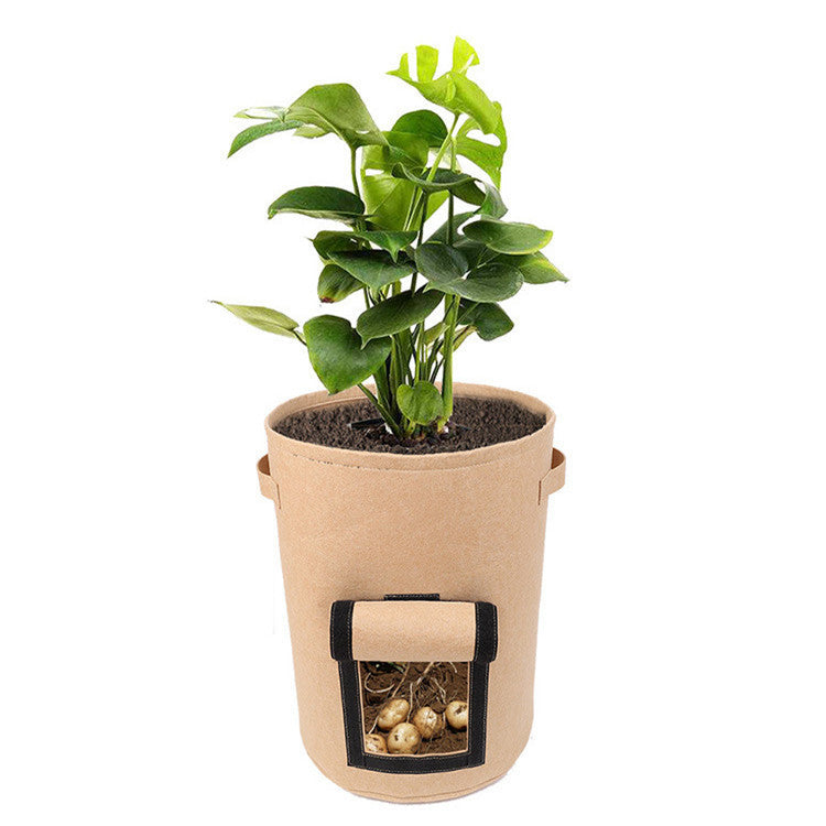 Multifunctional container for growing seedlings