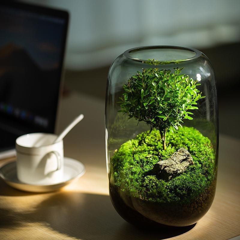 Miniature landscape for a creative desktop