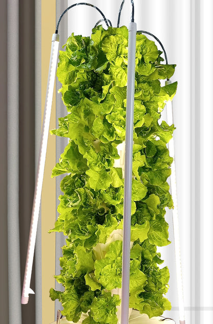 Indoor Soilless Cultivation Intelligent Vegetable Planter - ArtOm_farm™ MICROGREENS