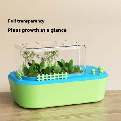 Vegetable Growing Observation Box Toy - ArtOm_farm™ MICROGREENS