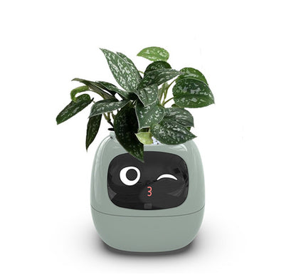 Smart Planter - ArtOm_farm™ MICROGREENS