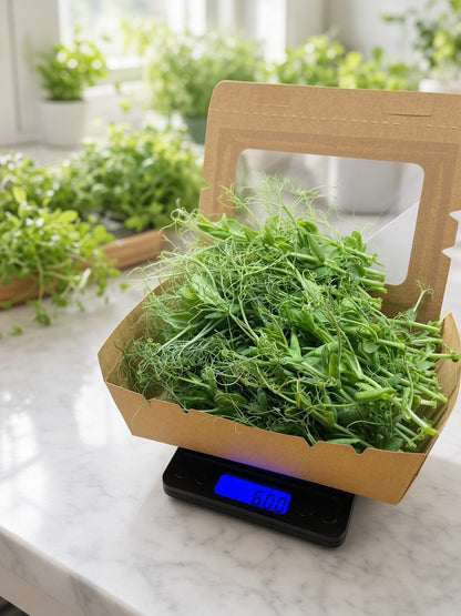 A small brown paper tray filled with fresh green microgreens sits on a black digital kitchen scale displaying 180g, set on a white marble countertop with blurred potted plants in the background.