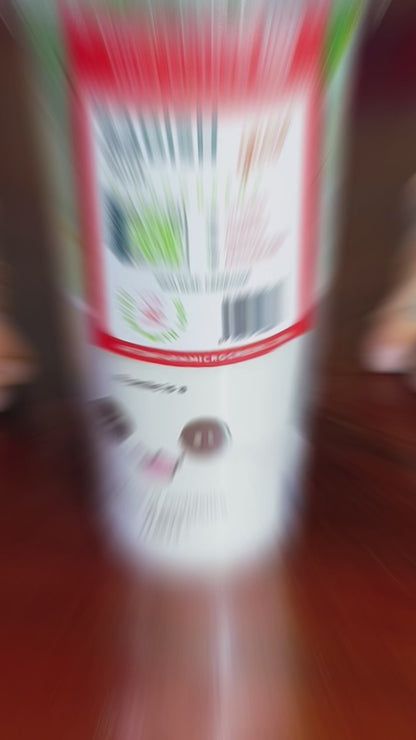 Radish Microgreens លូតលាស់