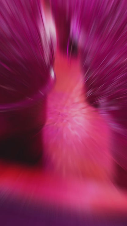 Amaranth Microgreens លូតលាស់