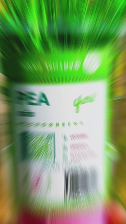 Pea Microgreens Grow